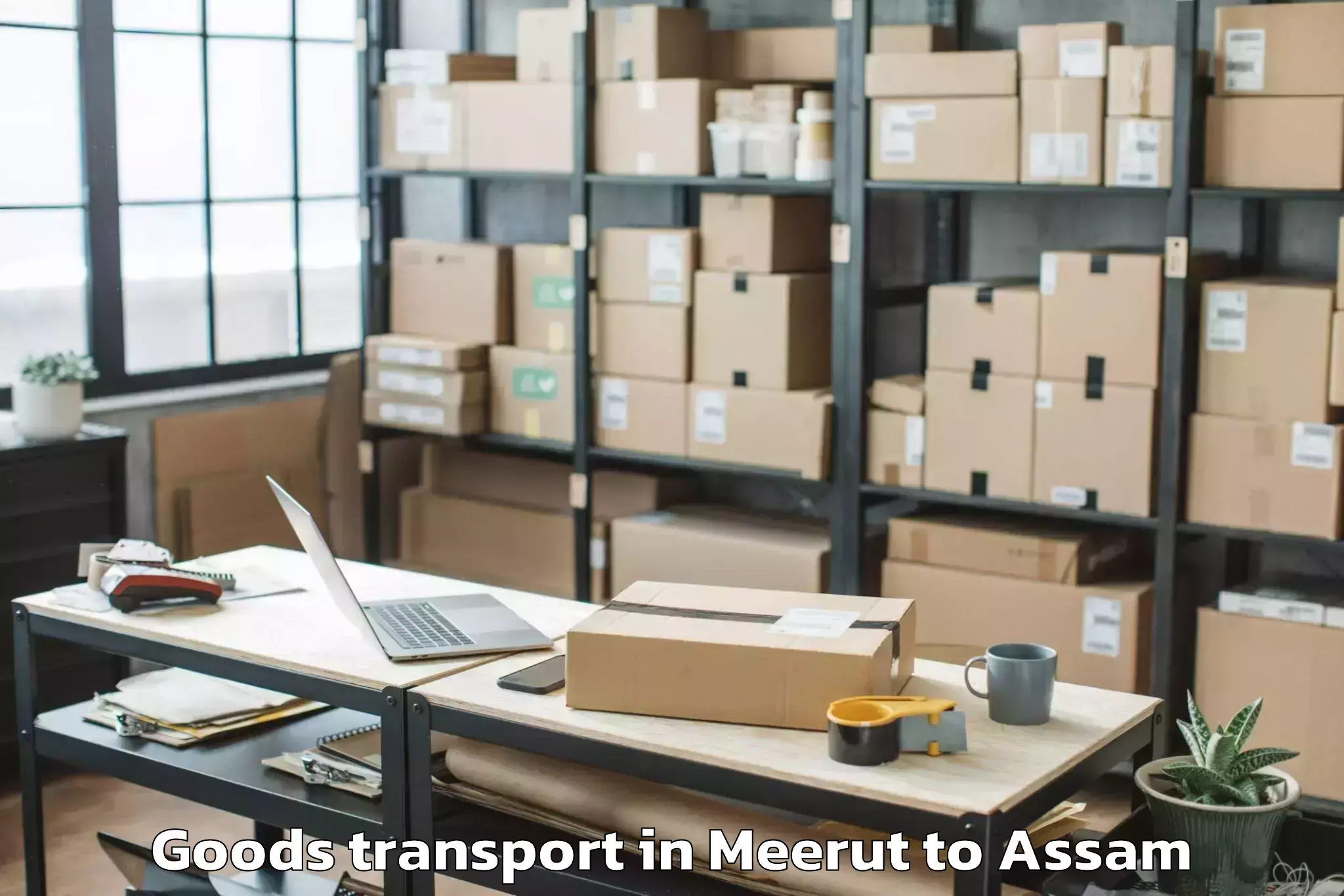 Leading Meerut to Dudhnoi Goods Transport Provider